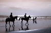 horses-on-seminyak
