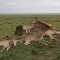 Serengeti Cheetas