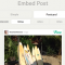 Vine Embed Post