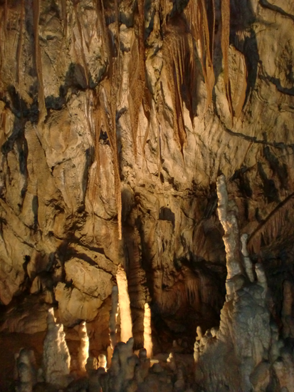 Spaghetti Formation Postojna Caves, Slovenia