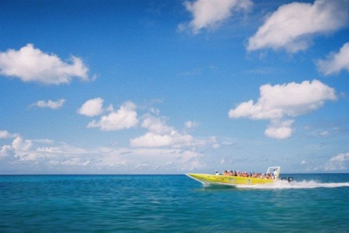 Saona island boat trip in the Dominican Republic