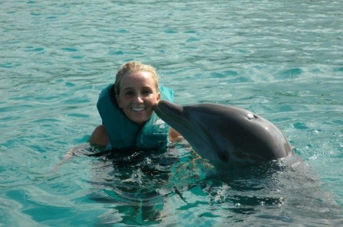 swimming with dolphins in the dominican republic