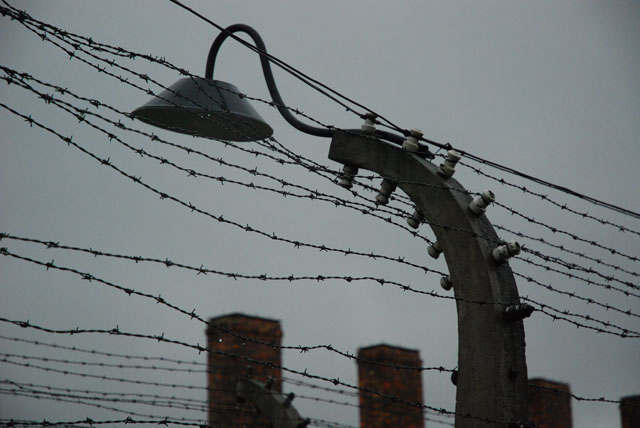 Auschwitz Barbed Wire