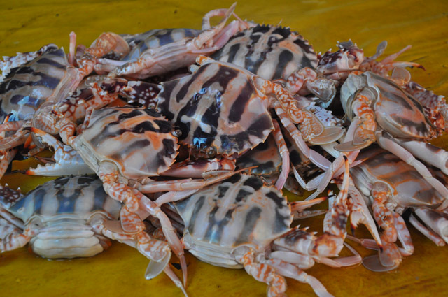 Dungun Market Crabs