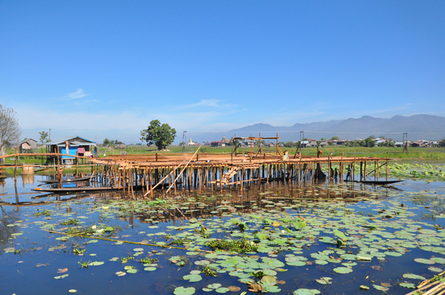 Floating Gardens Inle Lake Myanmar