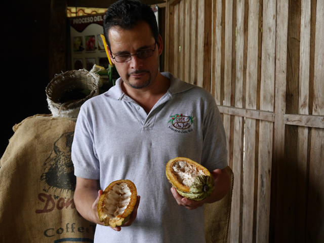 Don Juan Coffee Tour Costa Rica