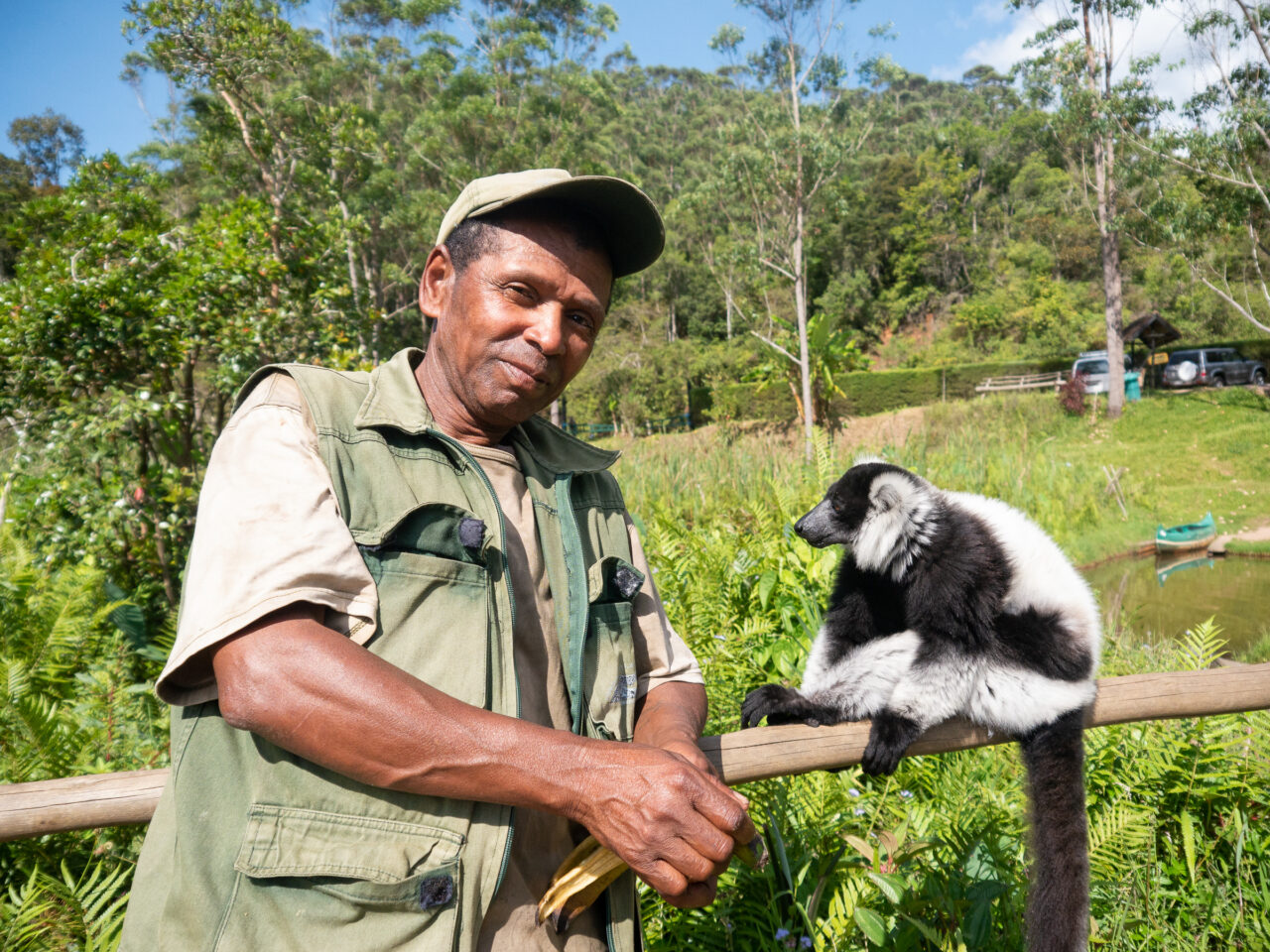 Lemur Island Vakona Forest Madagascar