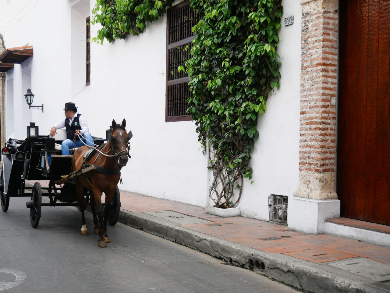 Horse and carriage in Cartagena, Colombia