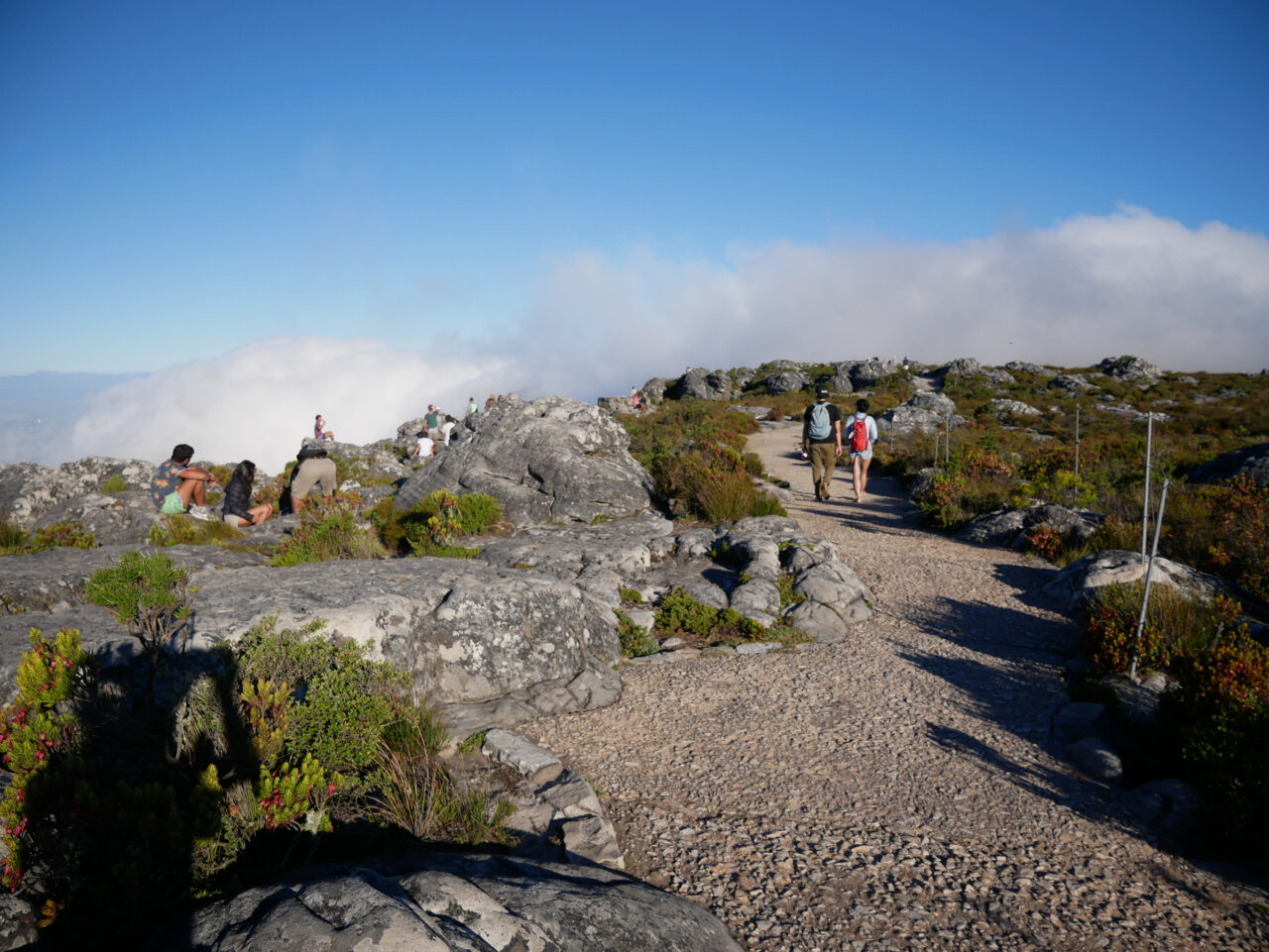 people walking around the top of Table Mountain, Cape Town