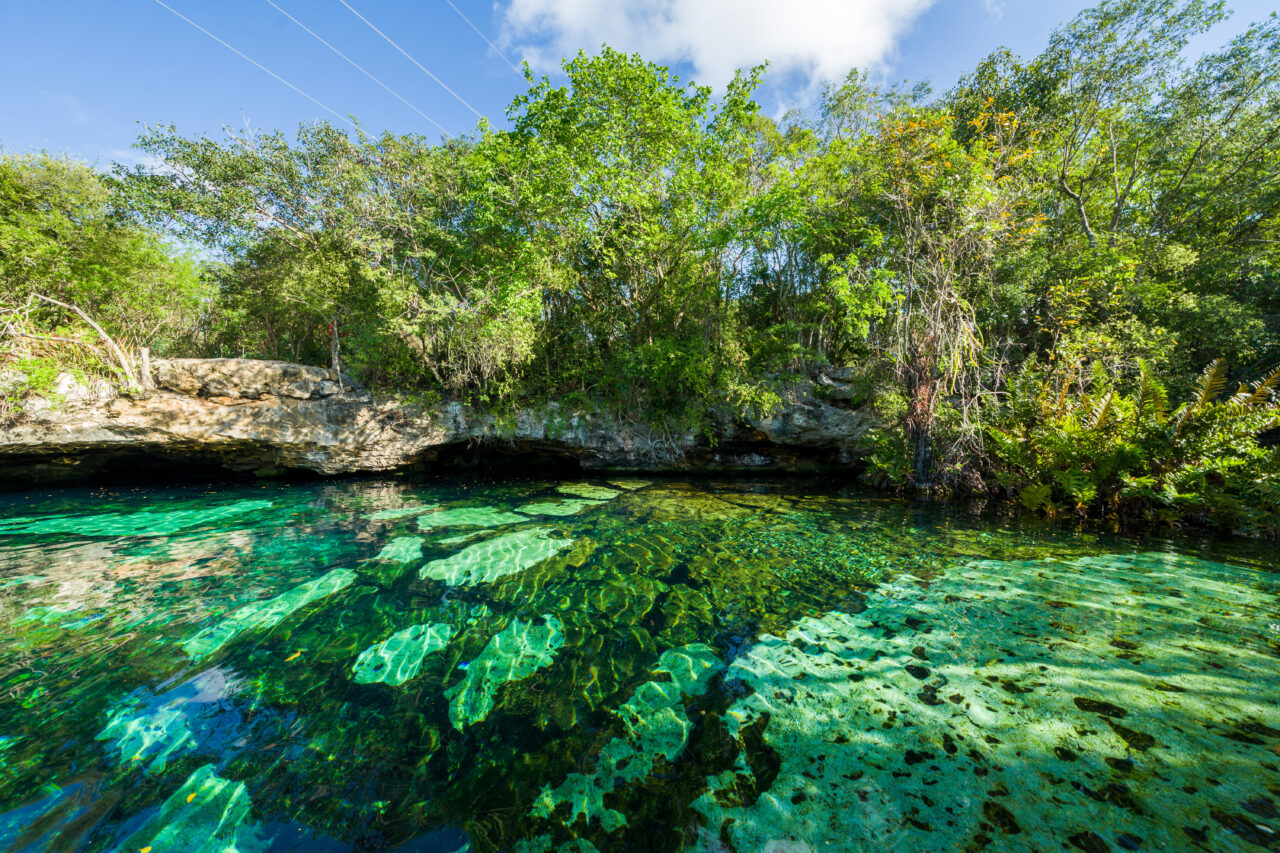 Cenote Azul Playa del Carmen Mexico