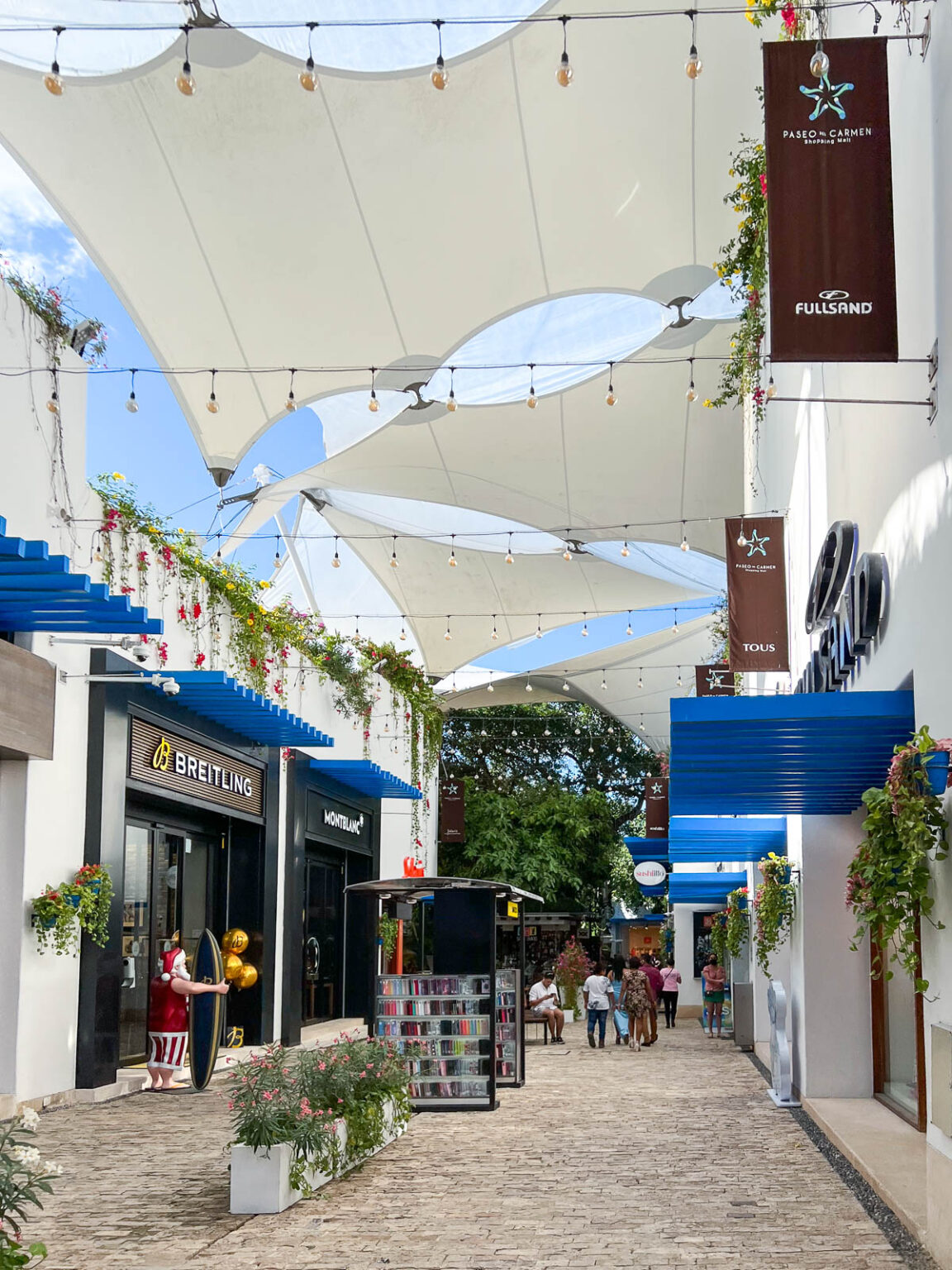 22 Amazing Things to do in Playa Del Carmen Mexico | Pommie Travels