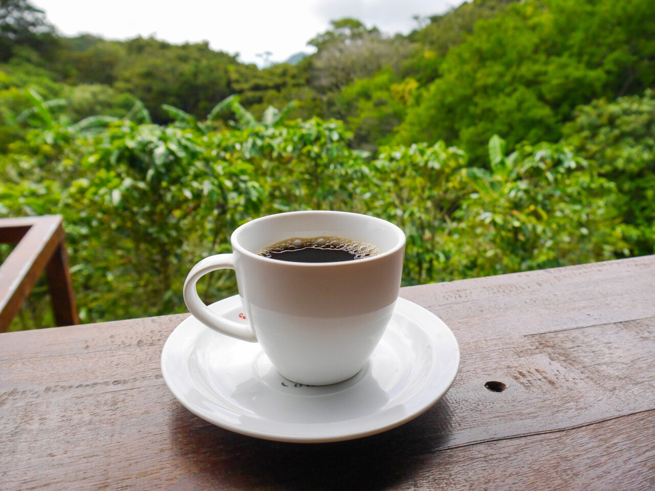 Don Juan Coffee Plantation