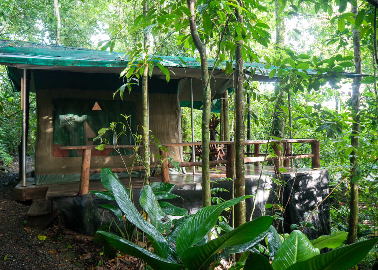 Hacienda Pozo Azul tent lodge Costa Rica