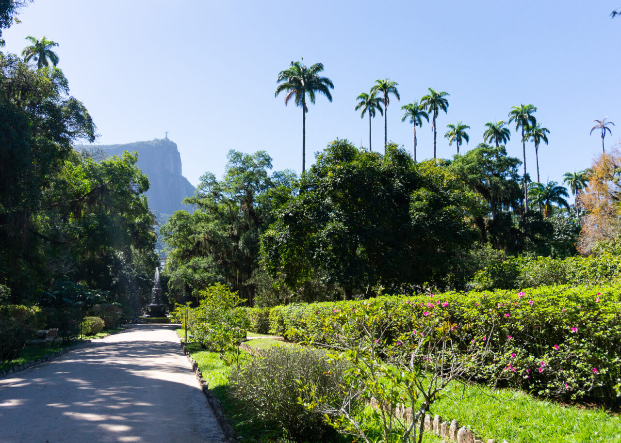 Jardim Botanico Rio de Janeiro