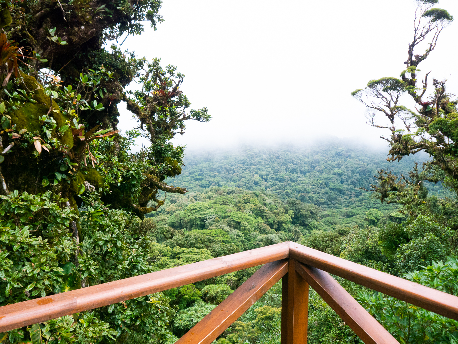15 Best Things To Do in Costa Rica