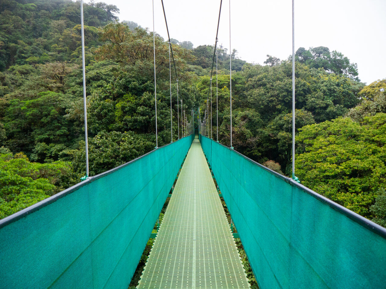 Monteverde sky bridge, Costa Rica