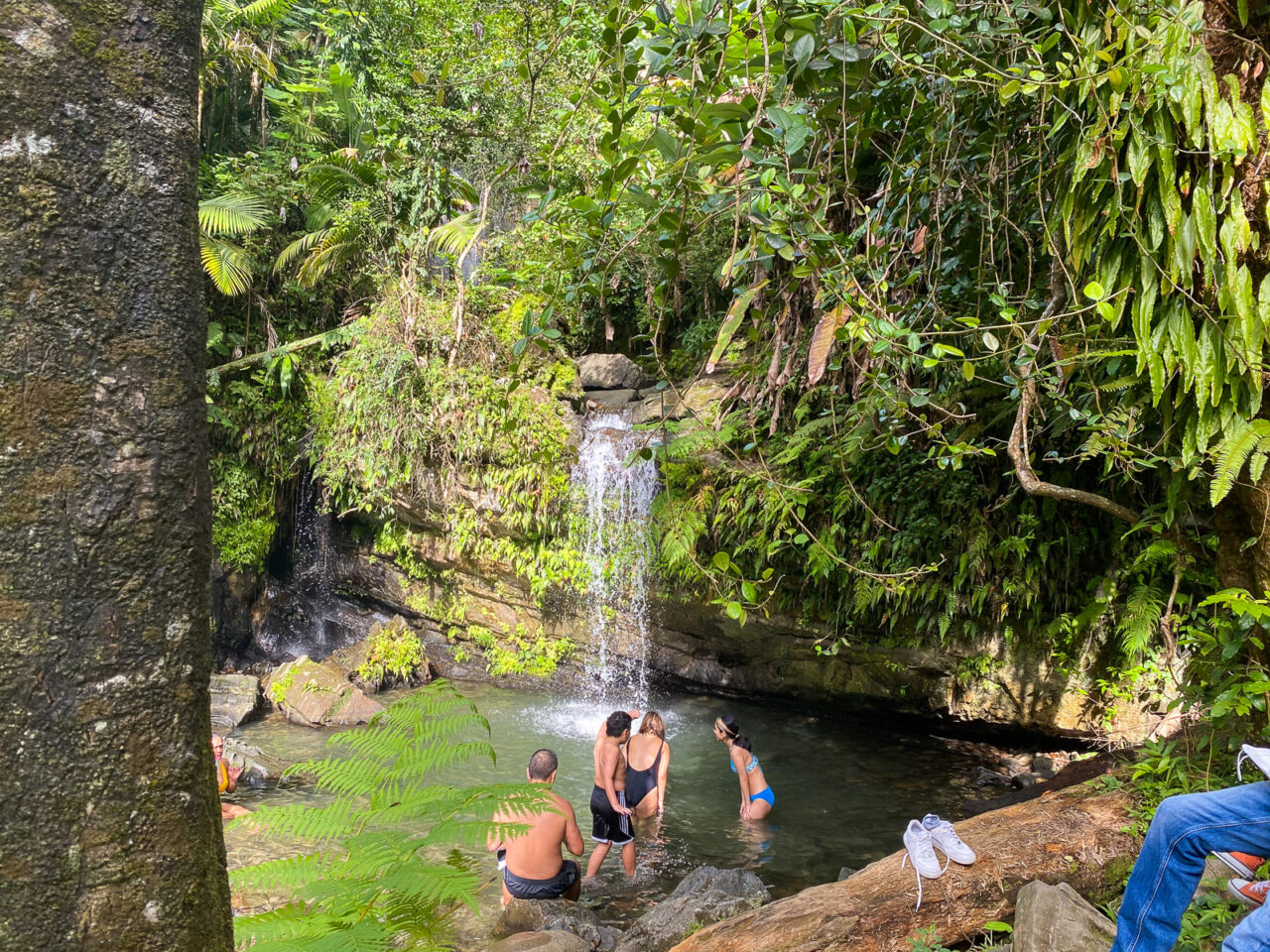 Waterfall in El Yunque rainforest Puerto Rico