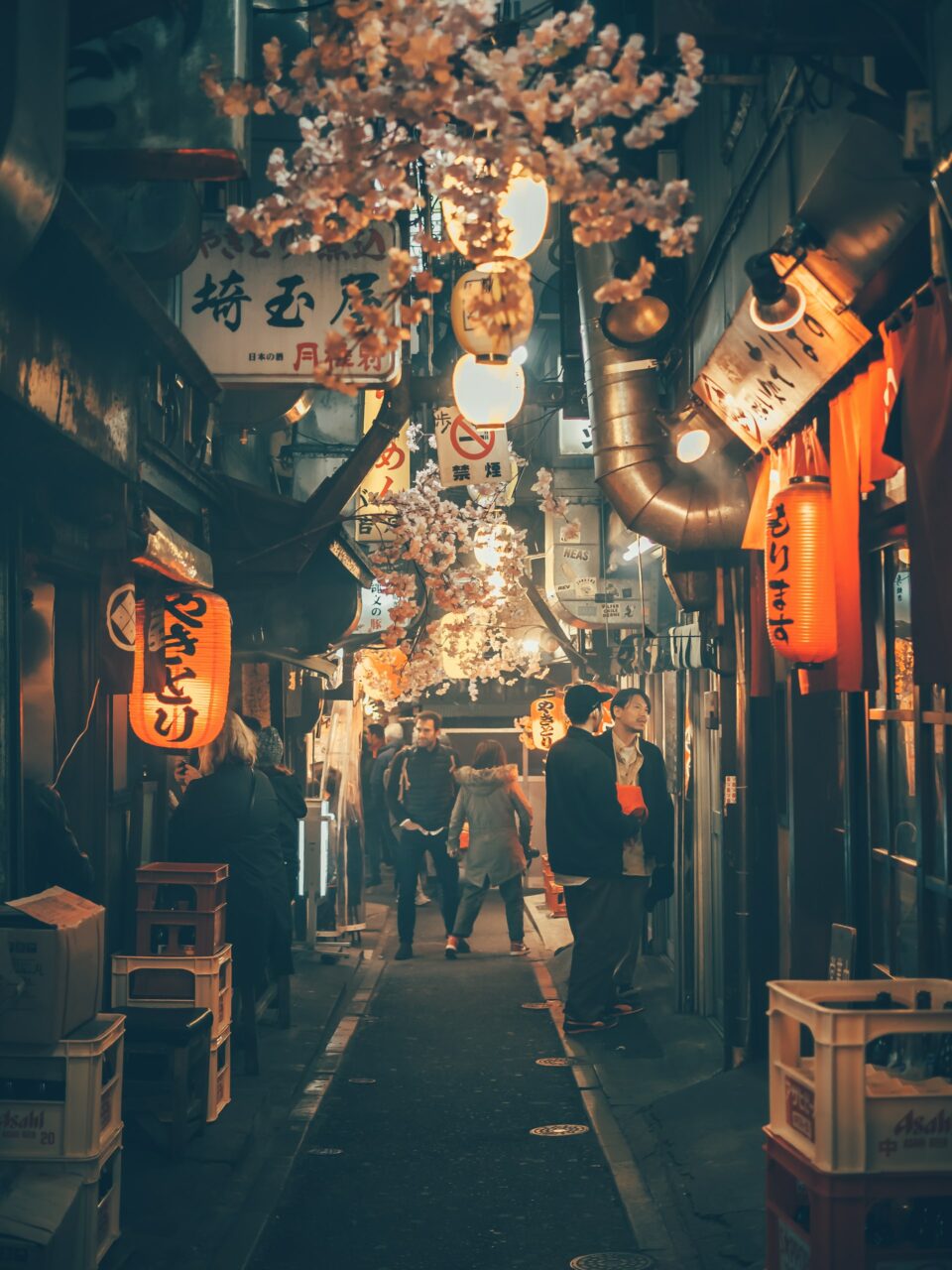 Shinjuku Yakitori Alley, Japan