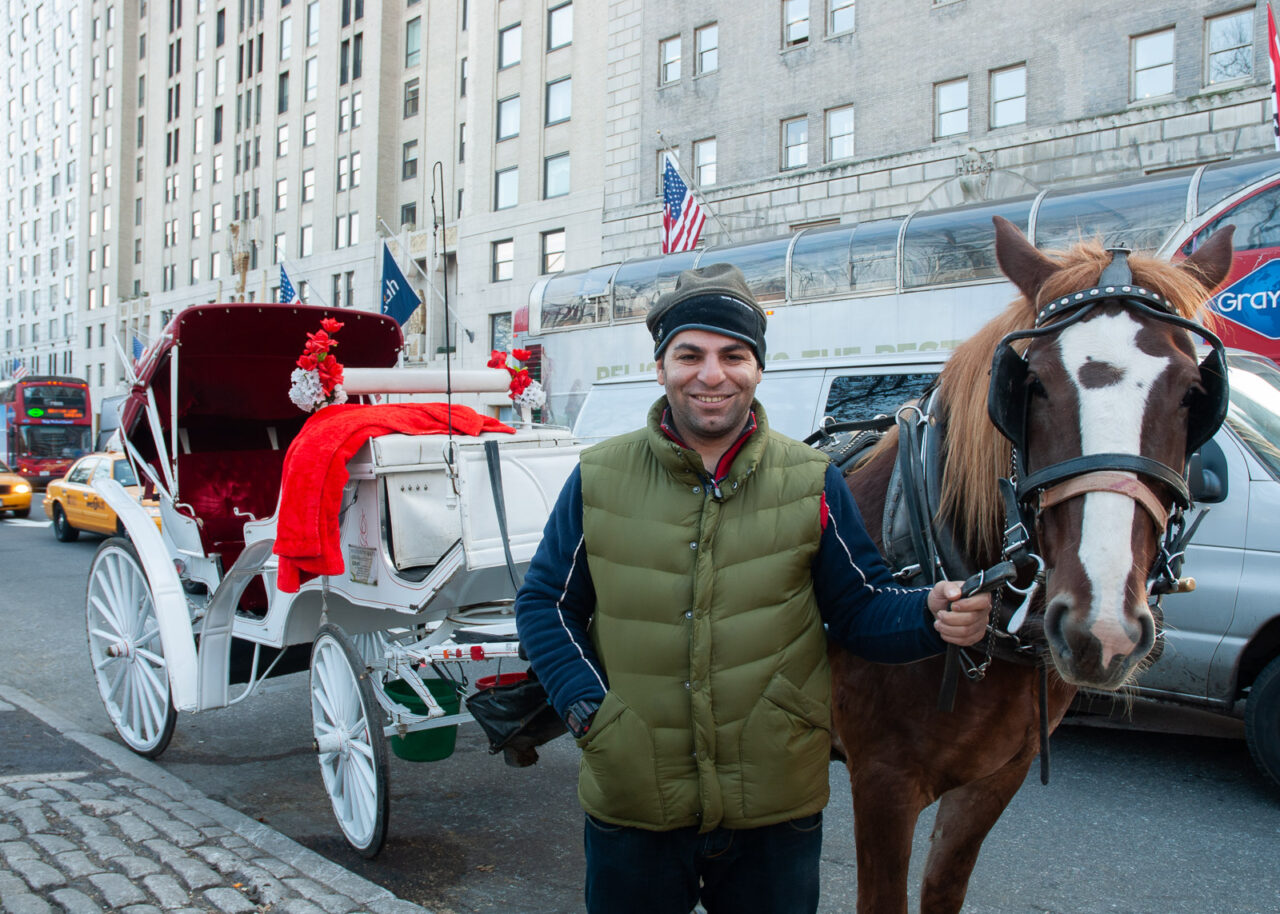 Horse and Carriage in New York City
