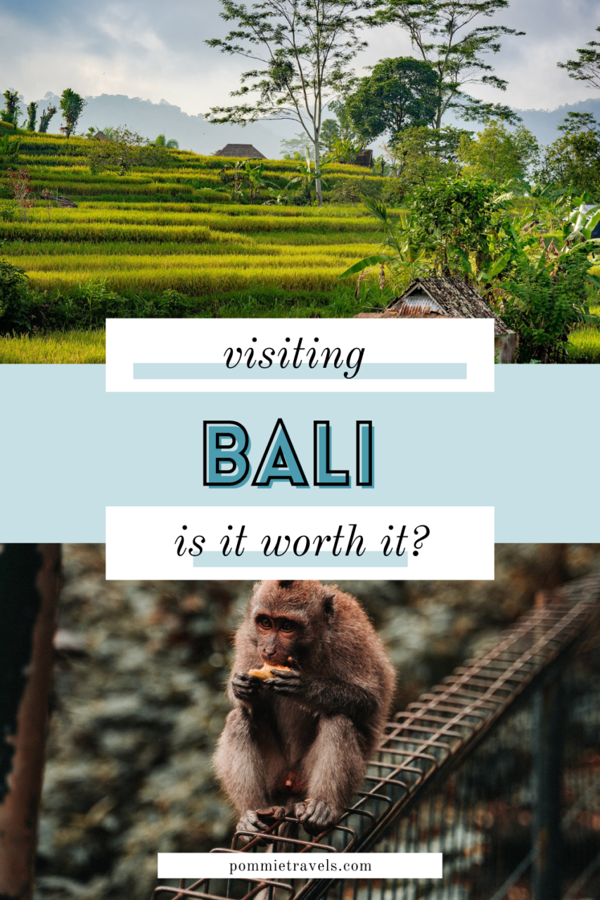 Visiting Bali, is it worth it?