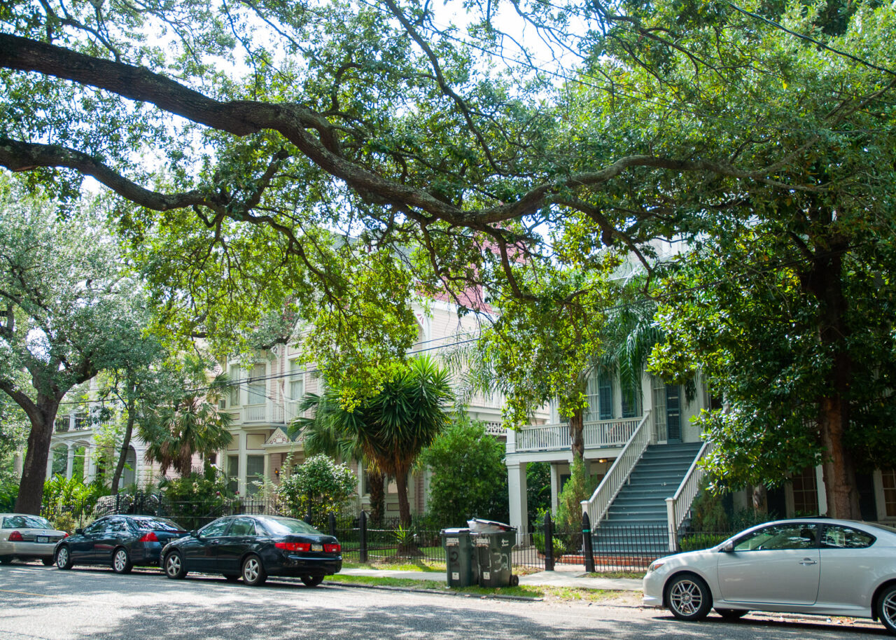 Leafy street in the Garden District, New Orleans