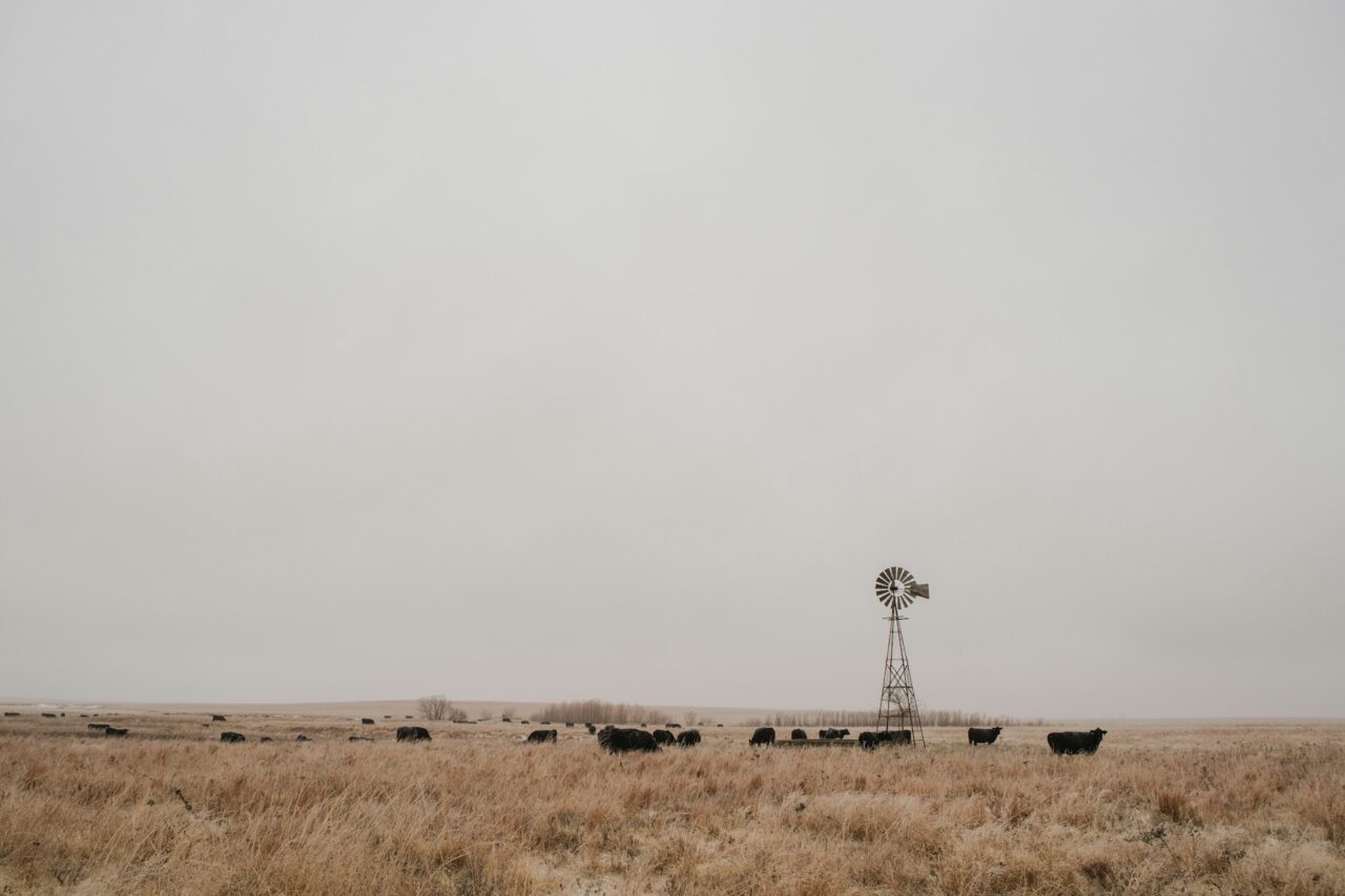 Windmill in a Kansas field