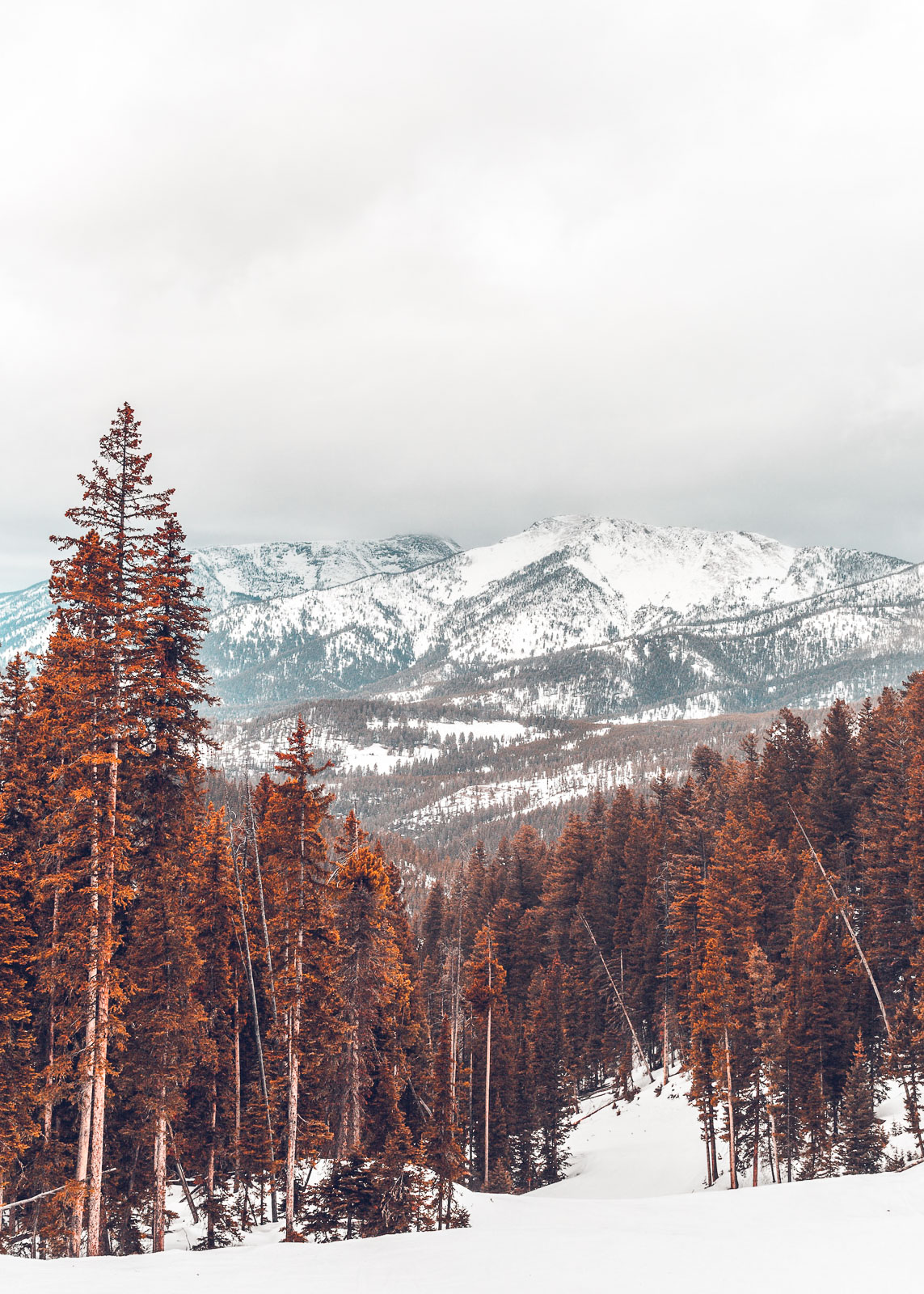 What Is Montana Known For? 20 Things Montana is Famous For