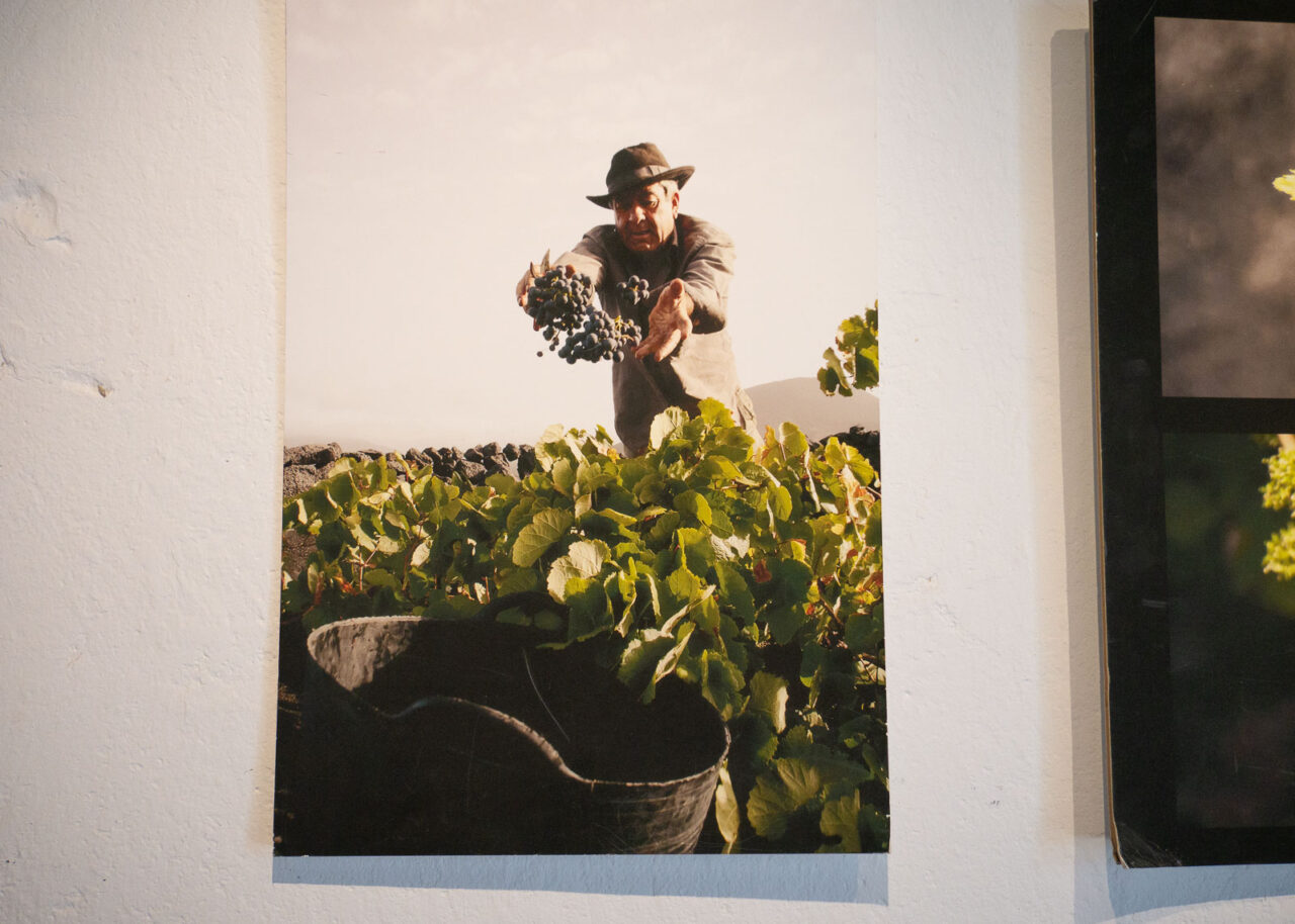 Photograph at Bodegas El Grifo wine museum