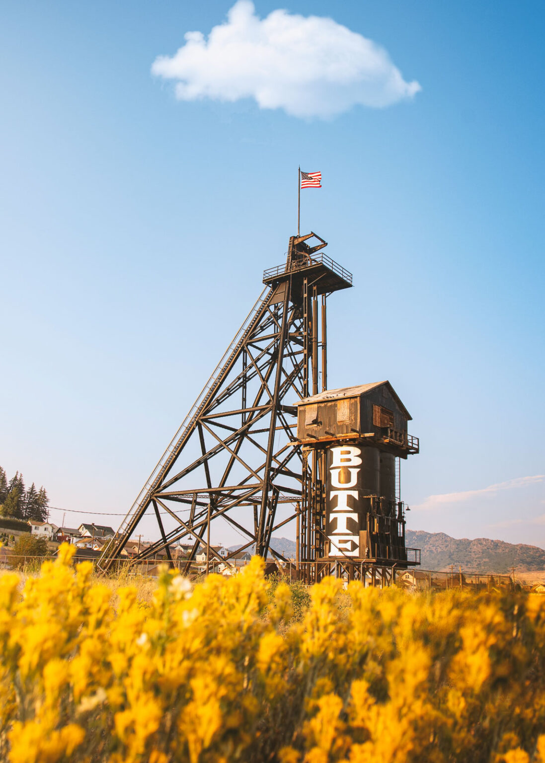 What Is Montana Known For? 20 Things Montana is Famous For