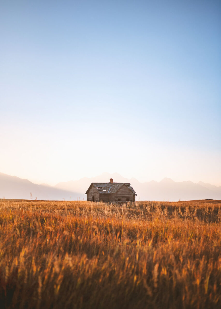 Wooden building in the center of a wheat field in Montana