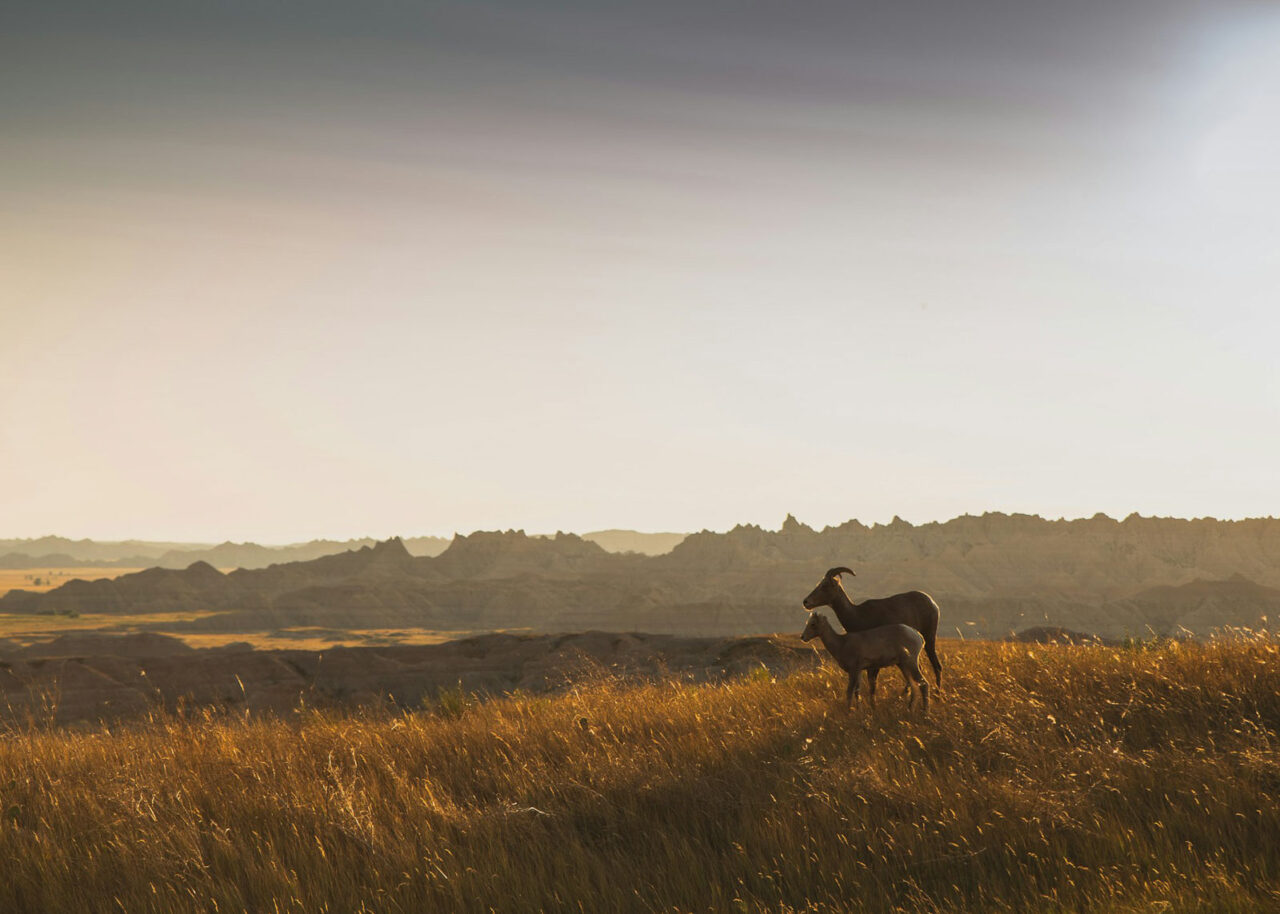 Badlands National Park