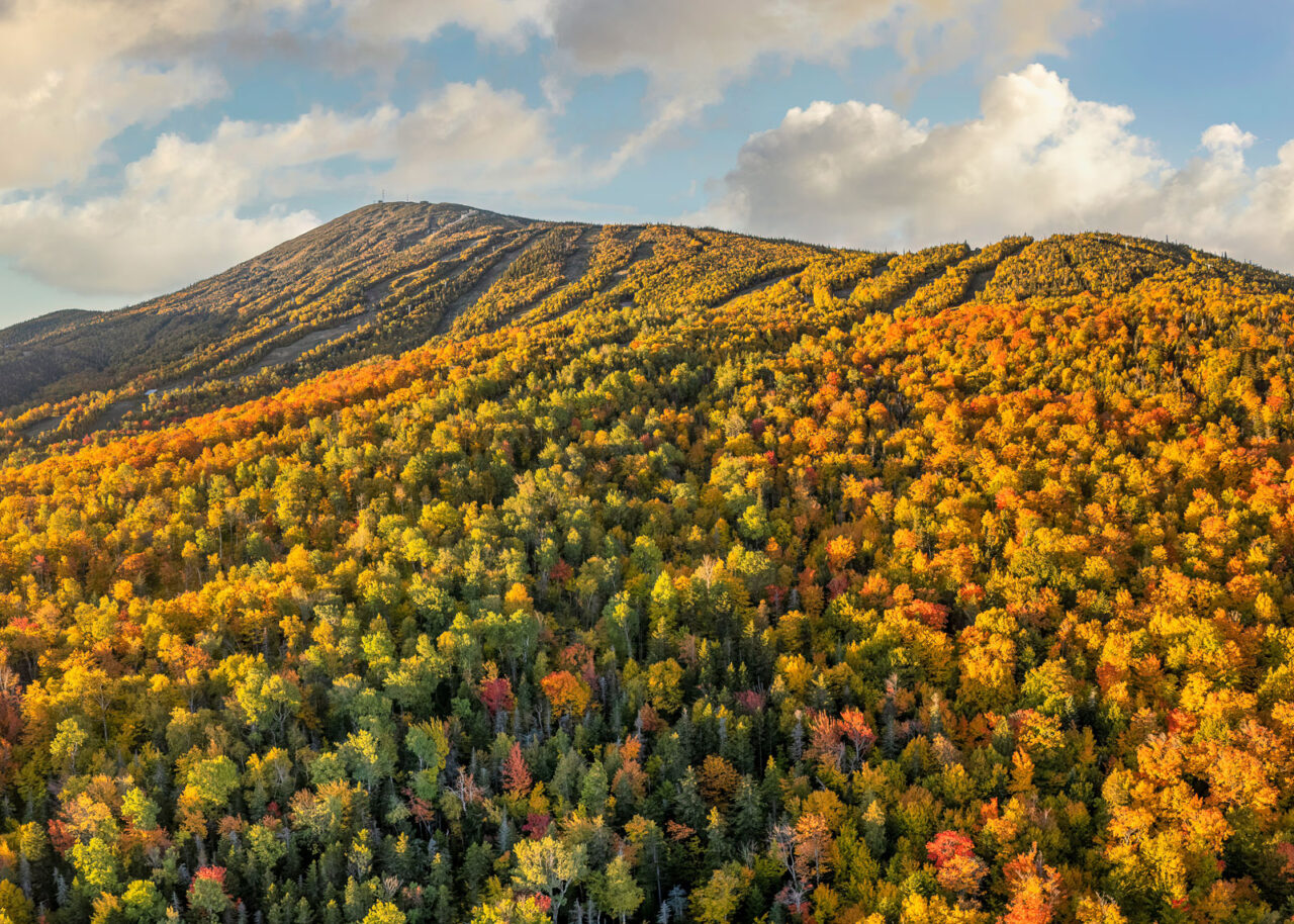 Fall foliage on Sugarloaf mountain, Maine