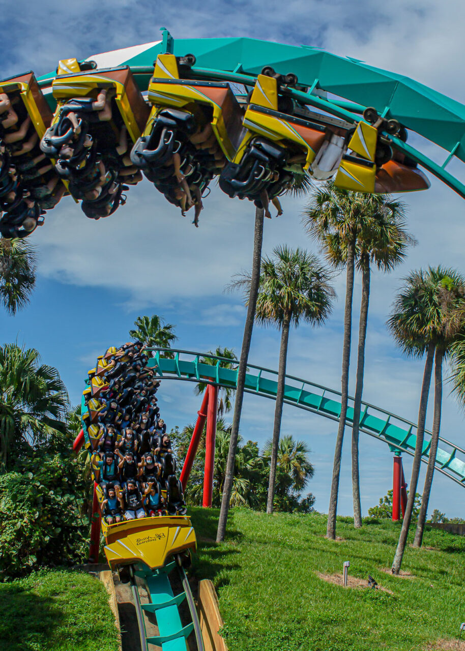 Rollercoaster at Busch Gardens Tampa