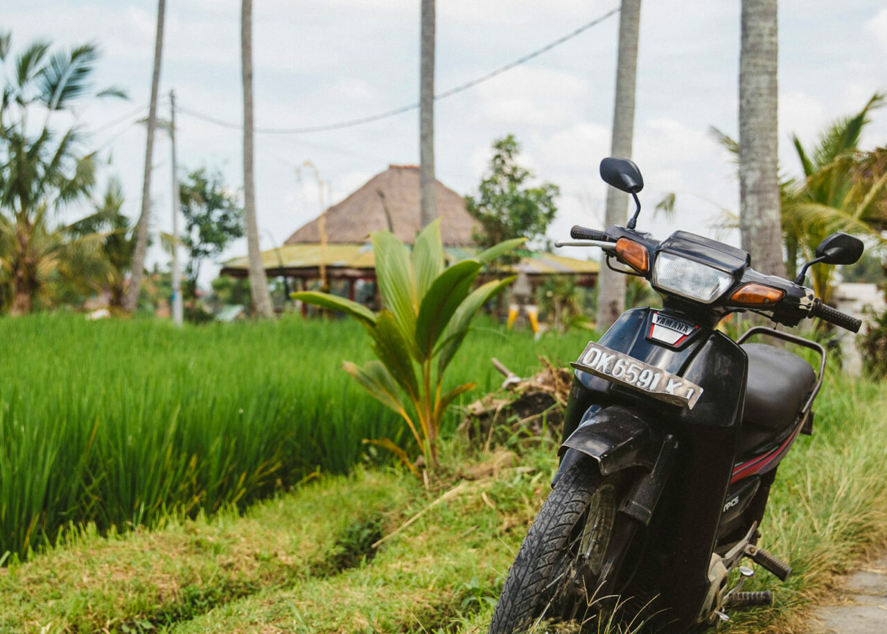 Scooter parked next to a rice field in Ubud, Bali