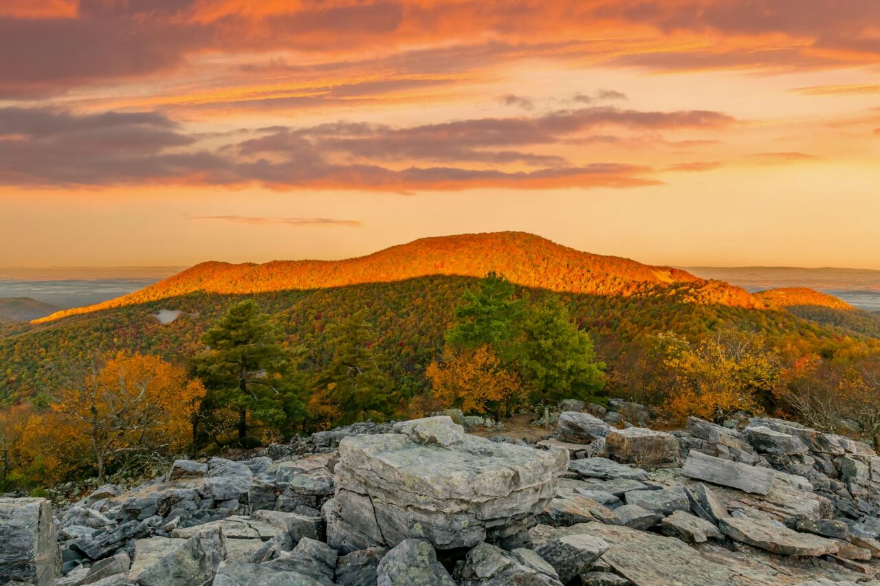 Fall foliage on Blackrock Summit in Shenandoah National Park i