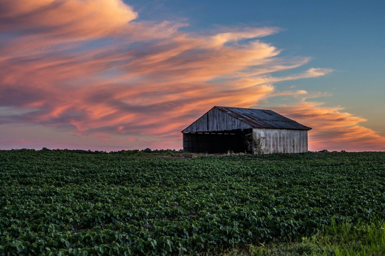 Empty barn at sunset in a green field in Indiana 