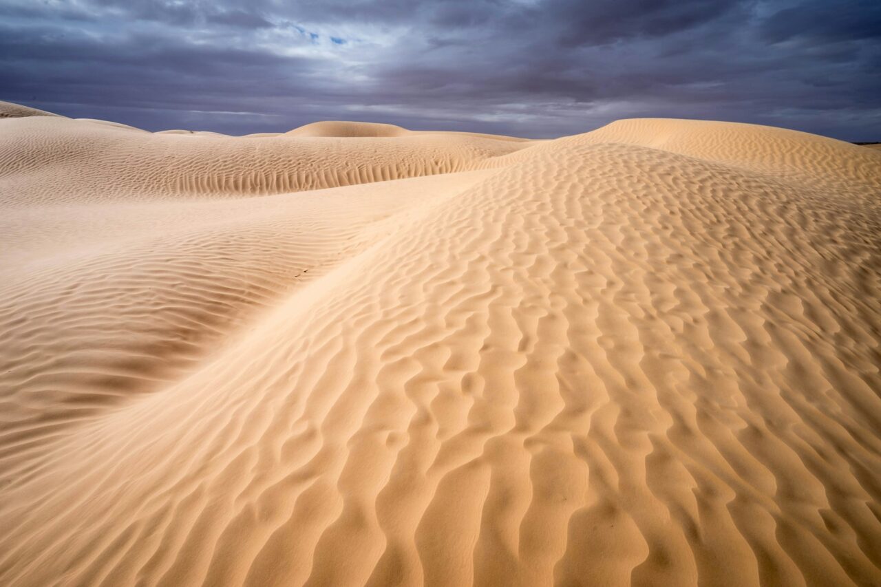 Desert dunes in Tunisia