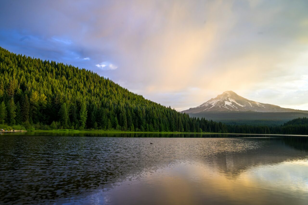 View of Mount Hood and forest in Oregon