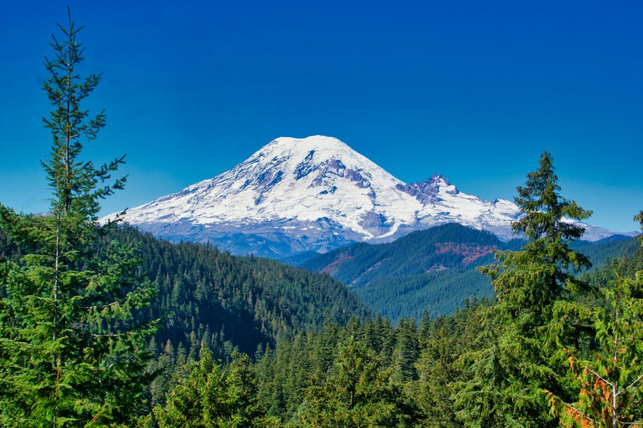 Mount Rainer National Park