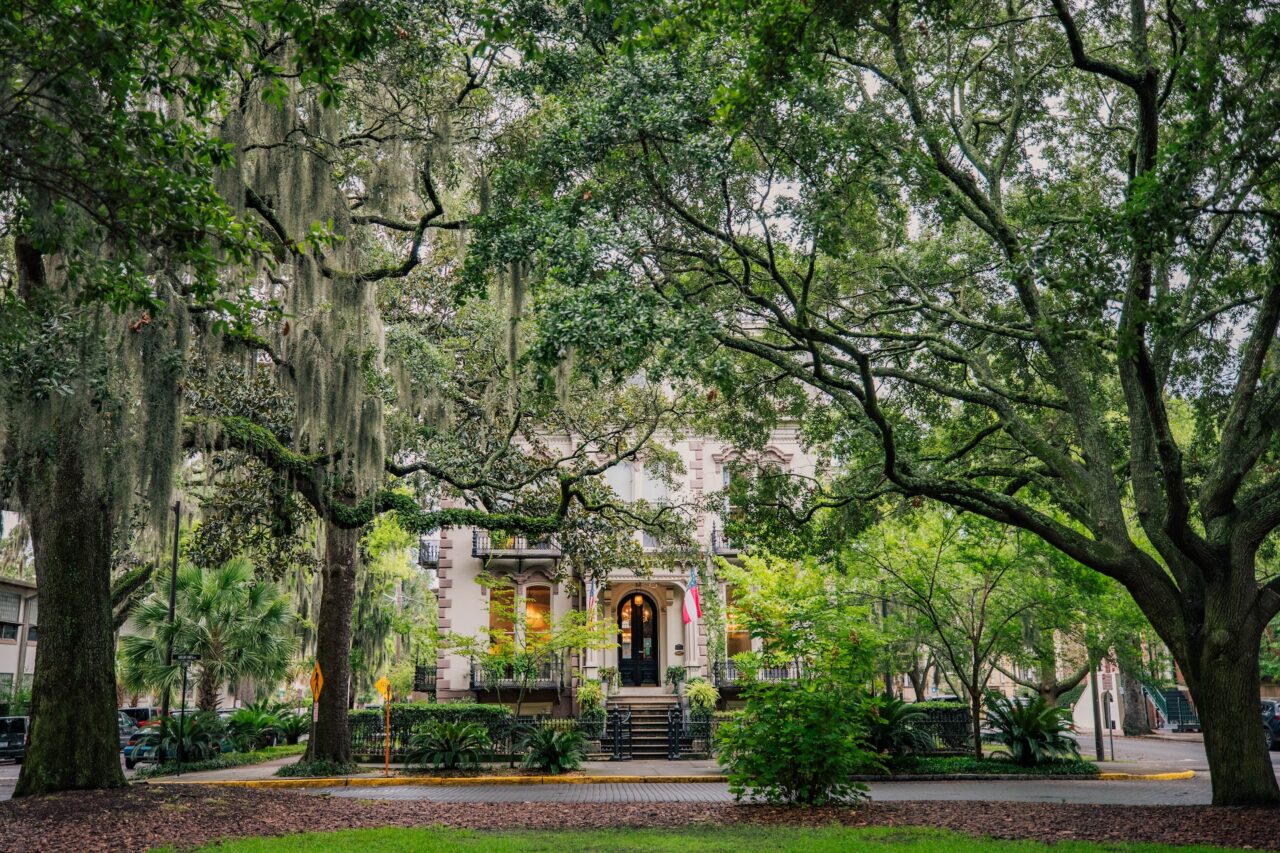 House surrounded by trees in Savannah Georgia