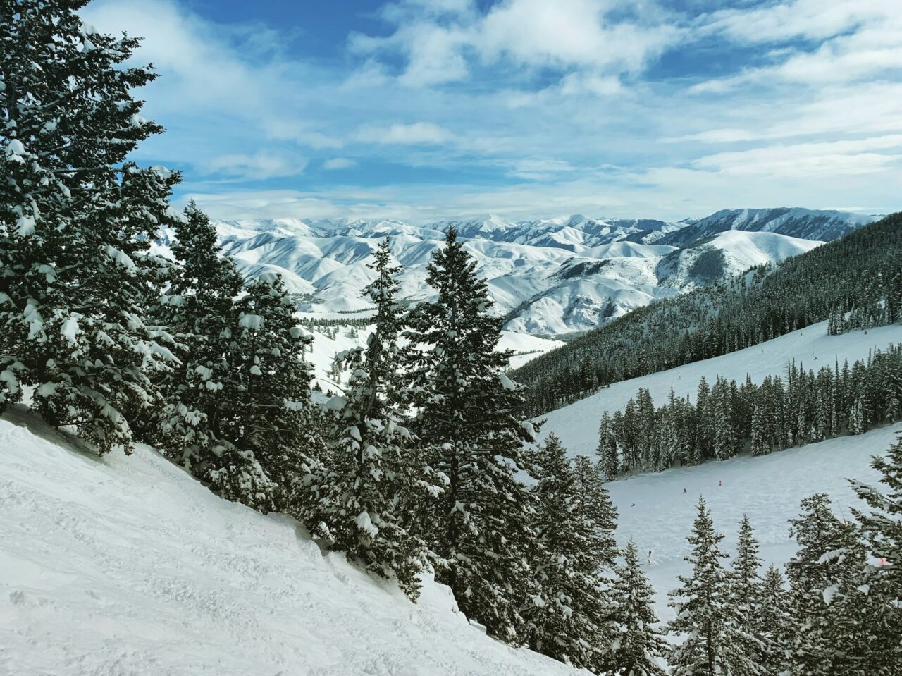 Snowy mountain with trees in Sun Valley Idaho