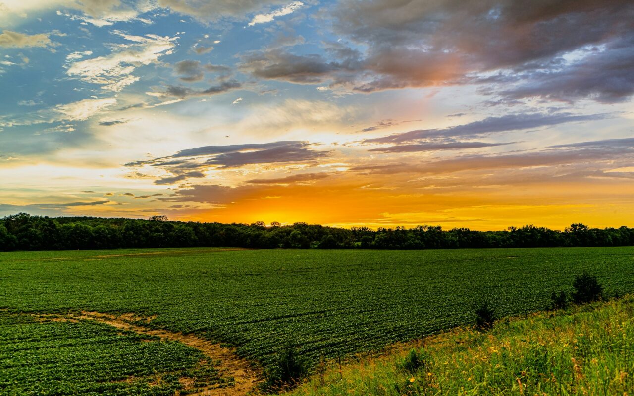 Sunset over a field in rural Iowa