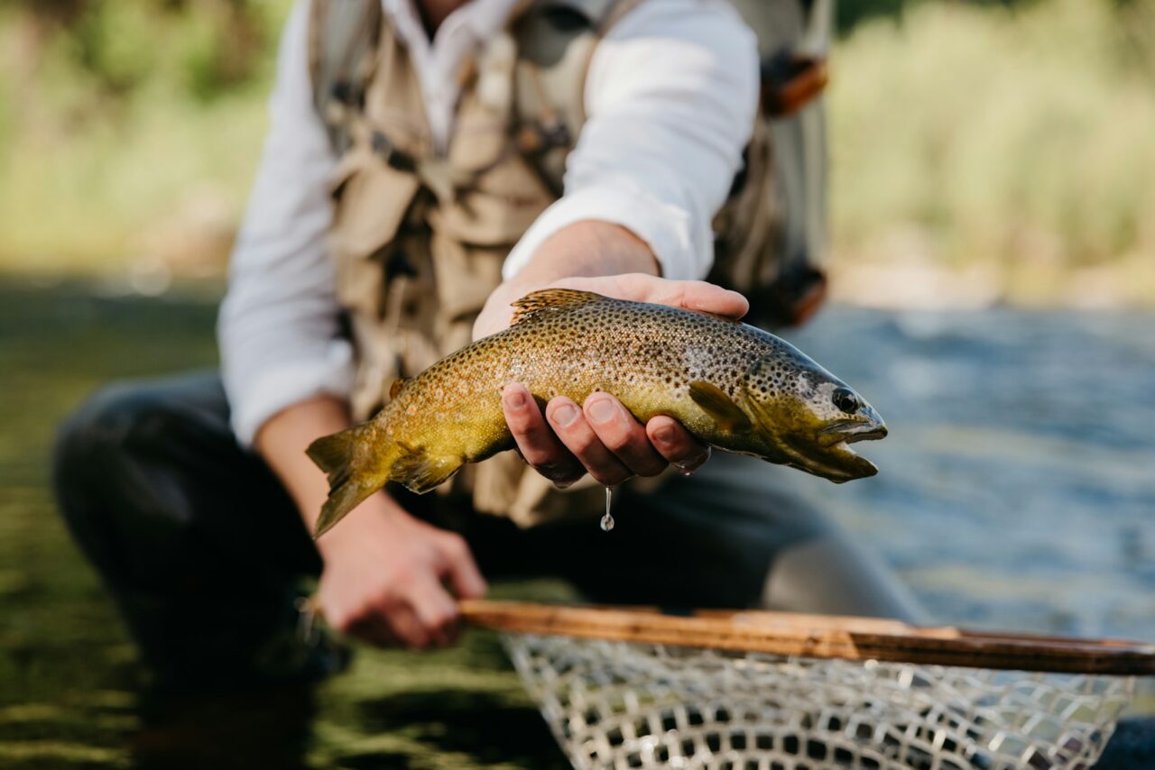Man holding a freshly caught trout