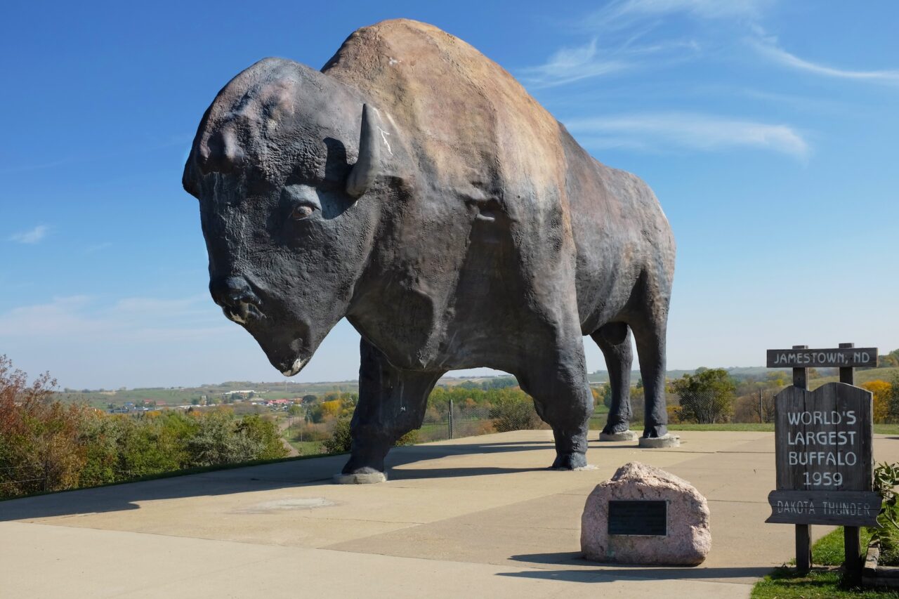 Dakota Thunder, World's Largest Buffalo monument 
