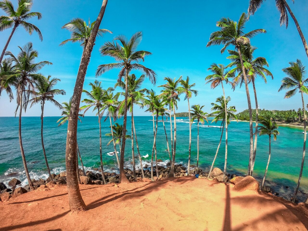 Coconut trees on the ocean in Mirissa Sri Lanka
