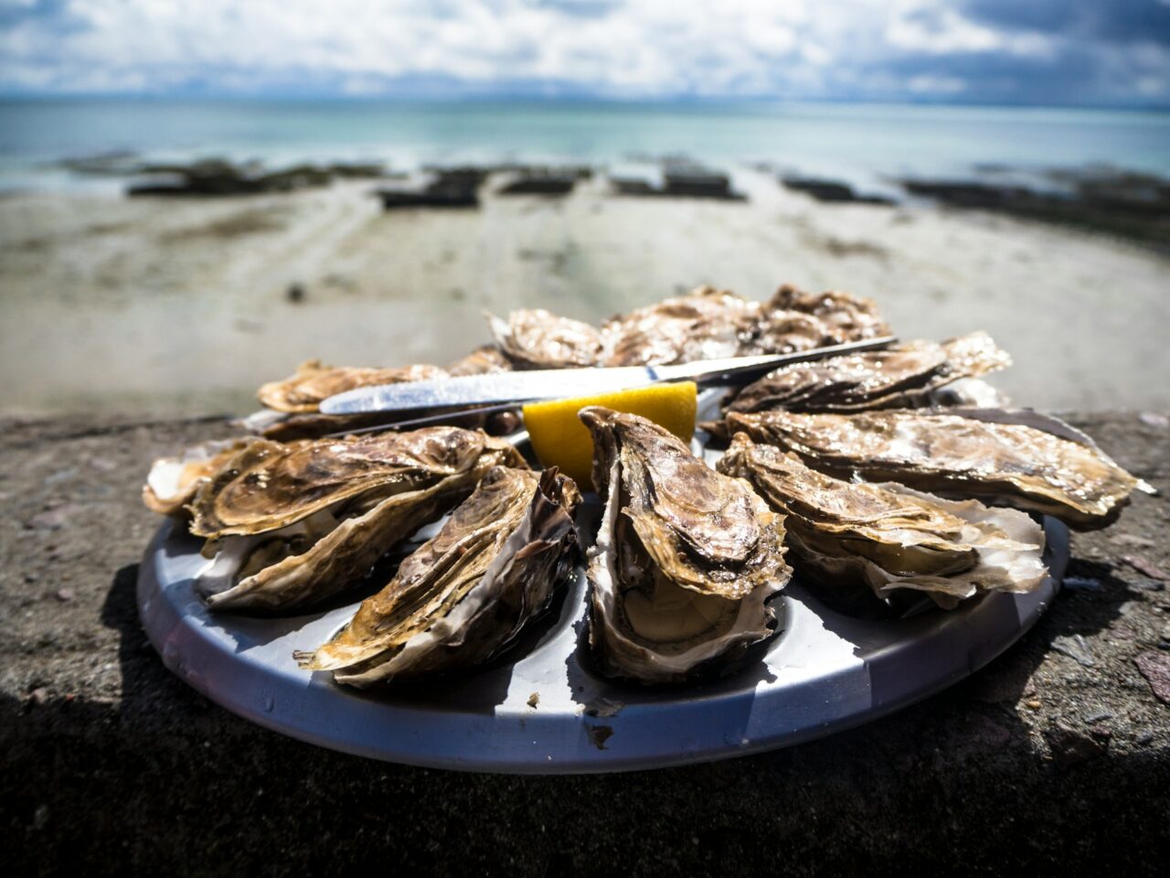 Platter of oysters next to a beach in France