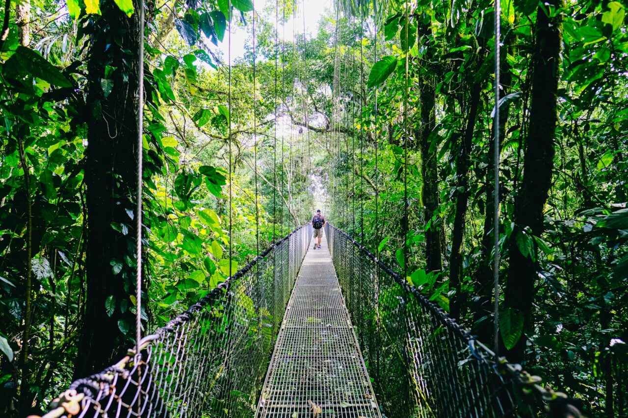 Hanging bridge in Costa Rica