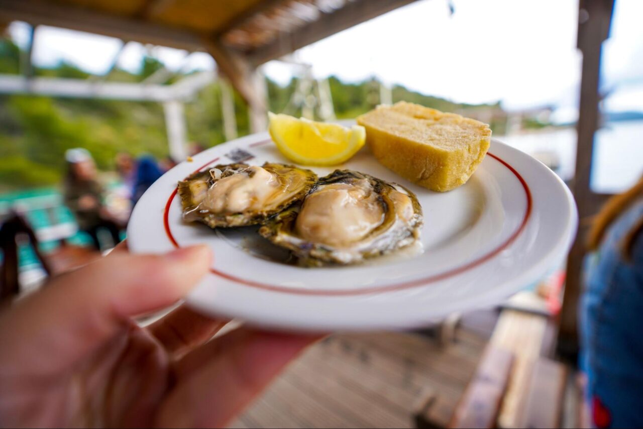 Stone Bay oysters