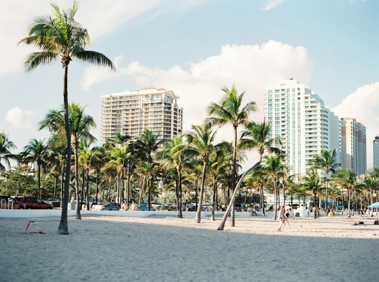 Beach lined with palm trees in Miami