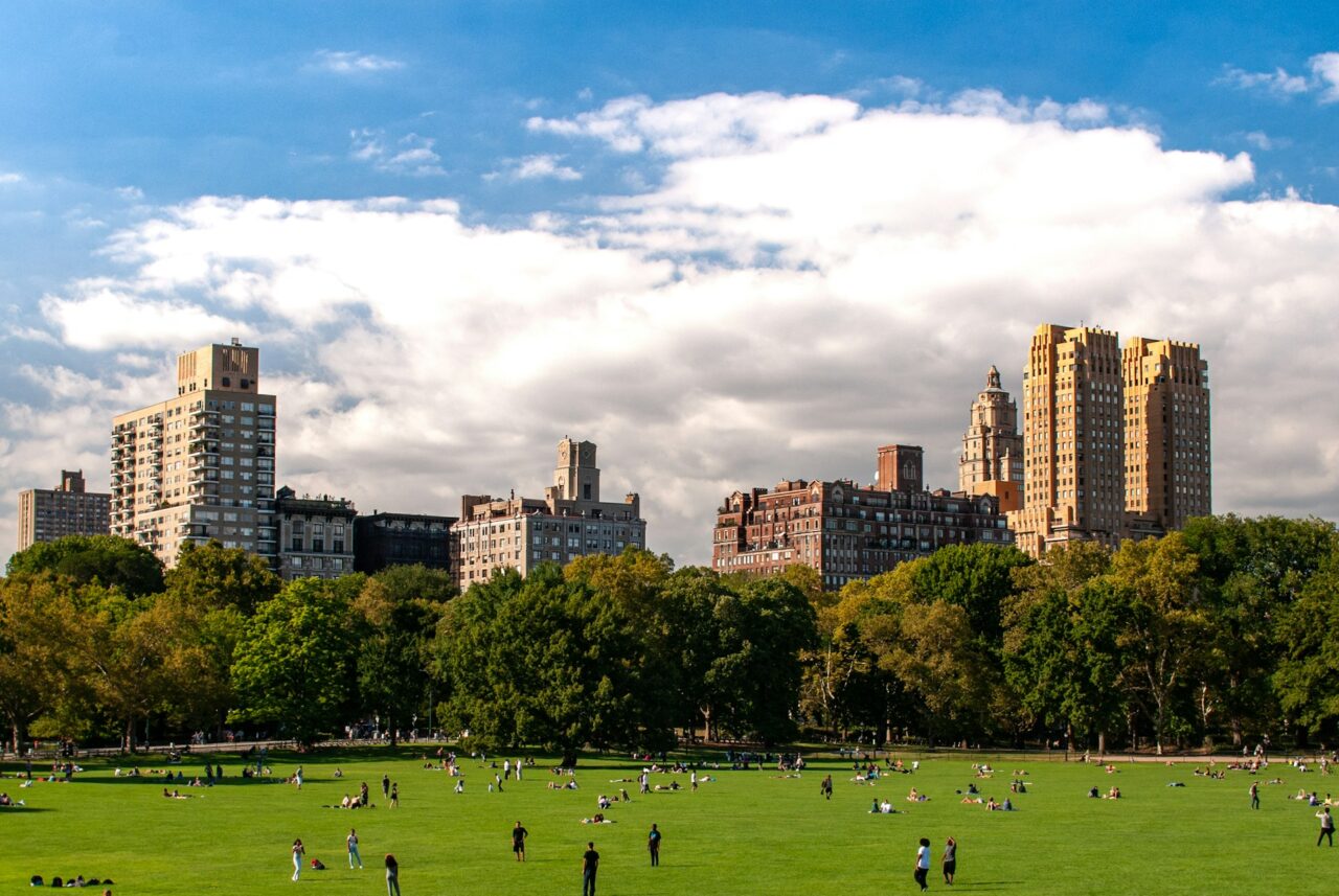 Central Park with buildings in the background